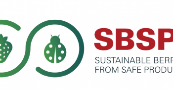 Masiá Ciscar creates SBSP quality certificate of sustainability of its berries